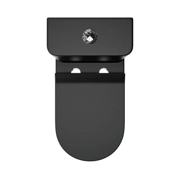Dual Flush Elongated Standard One Piece Toilet with Comfortable Seat Powerful & Quiet Dual Flush Modern Toilet