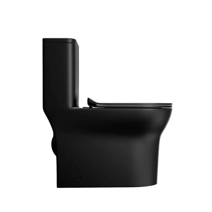 Dual Flush Elongated Standard One Piece Toilet with Comfortable Seat Powerful & Quiet Dual Flush Modern Toilet